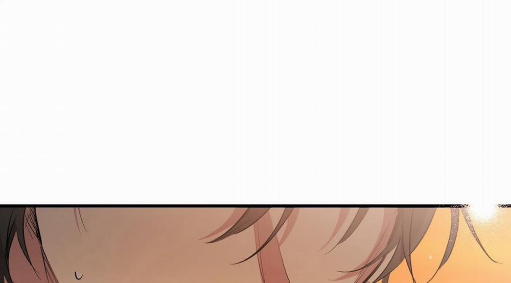 Đàn Thỏ Của Habibi 23 trang 341