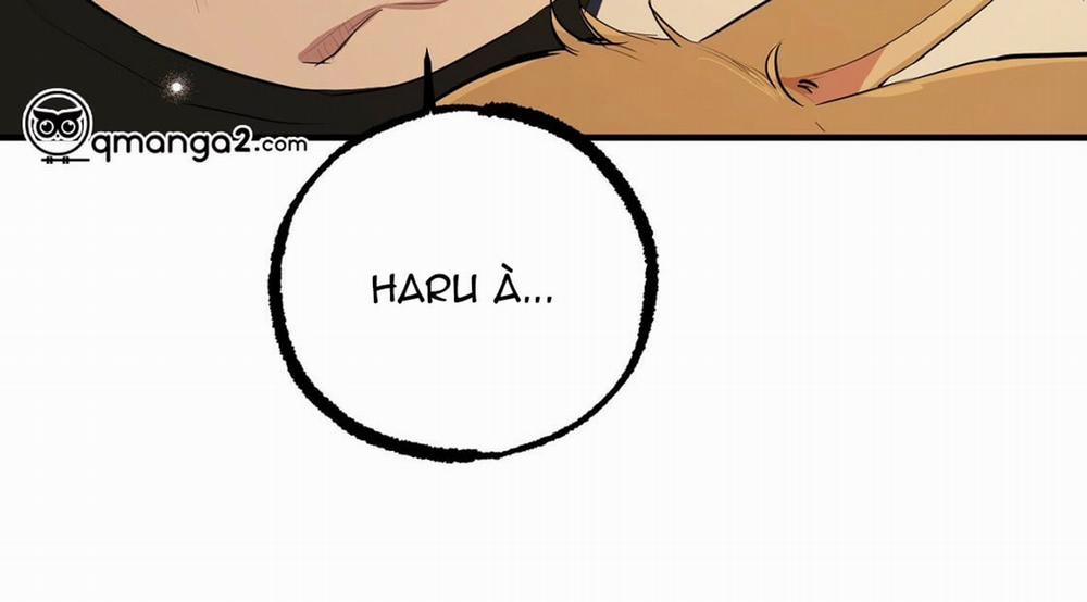 Đàn Thỏ Của Habibi 23 trang 343