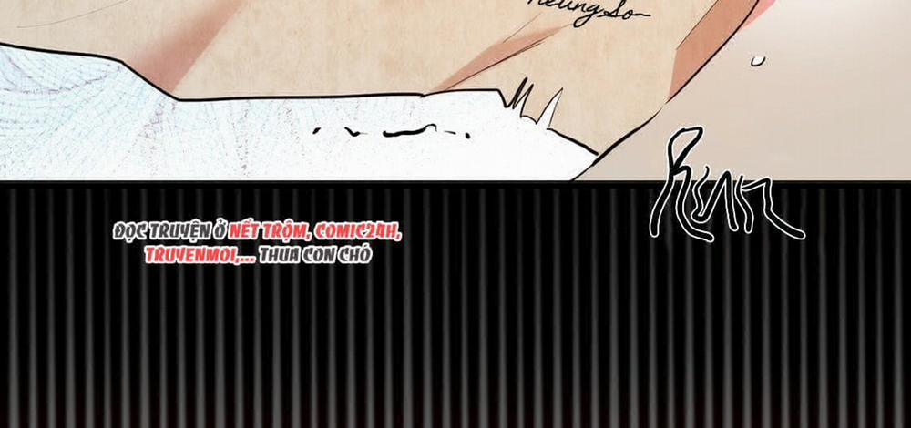 Đàn Thỏ Của Habibi 23 trang 68