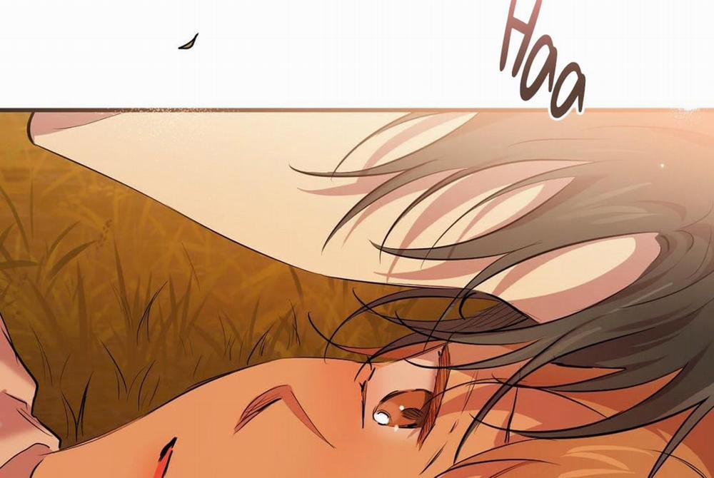 Đàn Thỏ Của Habibi 24 trang 167