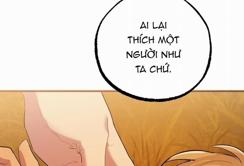 Đàn Thỏ Của Habibi 24 trang 177