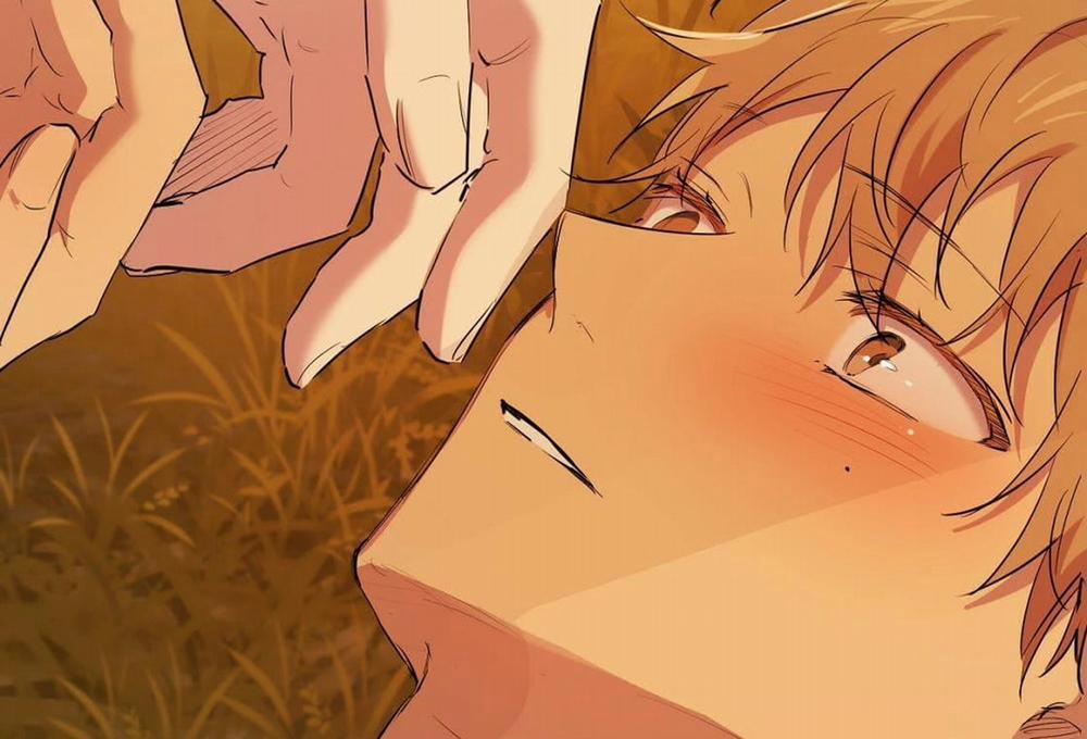 Đàn Thỏ Của Habibi 24 trang 178