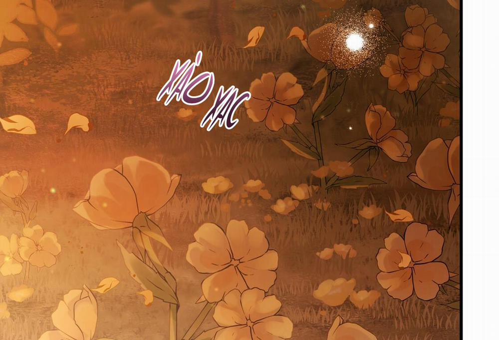 Đàn Thỏ Của Habibi 24 trang 197