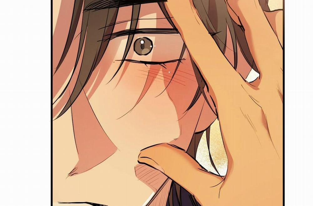 Đàn Thỏ Của Habibi 24 trang 216