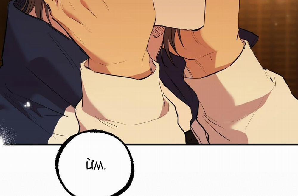 Đàn Thỏ Của Habibi 24 trang 220