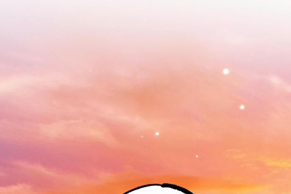 Đàn Thỏ Của Habibi 24 trang 226