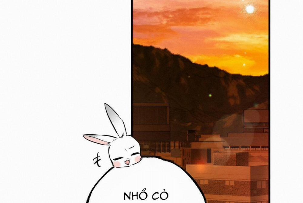 Đàn Thỏ Của Habibi 24 trang 253