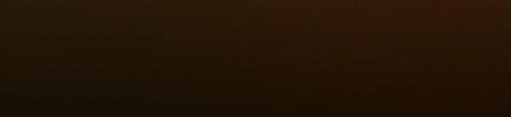 Đàn Thỏ Của Habibi 24 trang 292