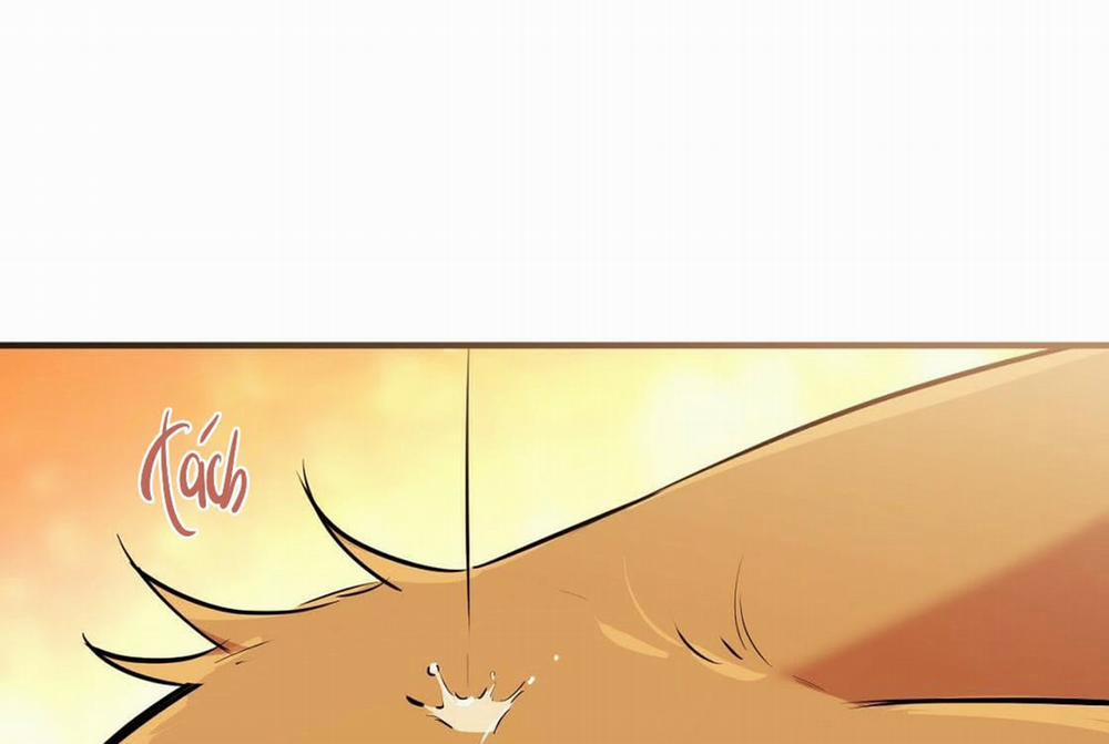 Đàn Thỏ Của Habibi 24 trang 5