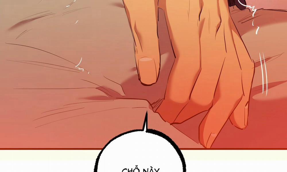 Đàn Thỏ Của Habibi 25 trang 11