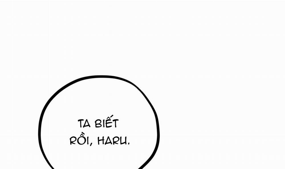 Đàn Thỏ Của Habibi 25 trang 153