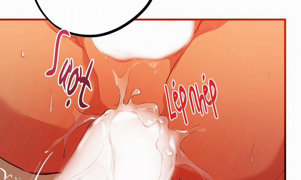 Đàn Thỏ Của Habibi 25 trang 195