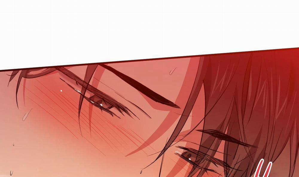 Đàn Thỏ Của Habibi 25 trang 206