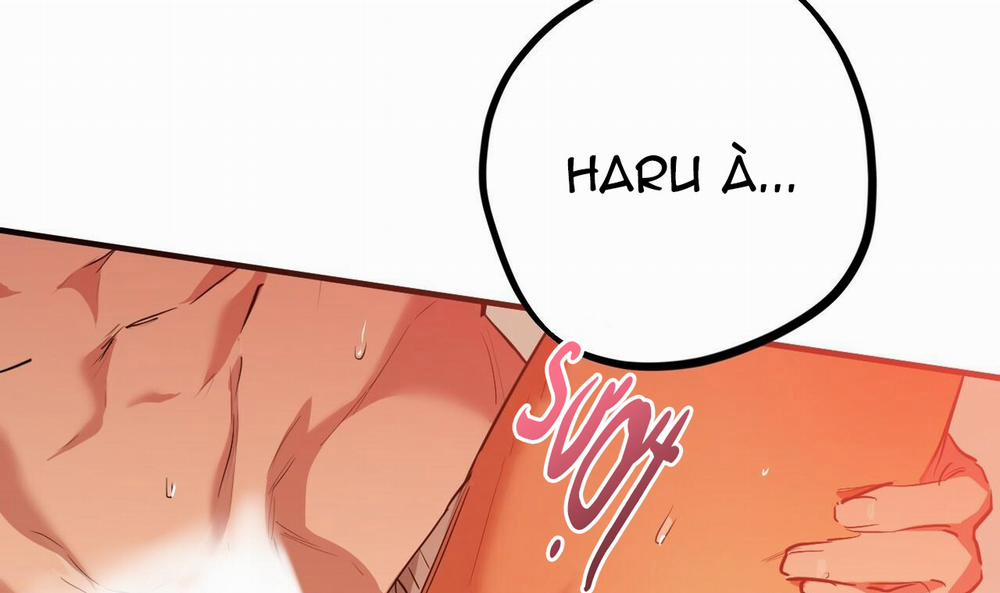 Đàn Thỏ Của Habibi 25 trang 209