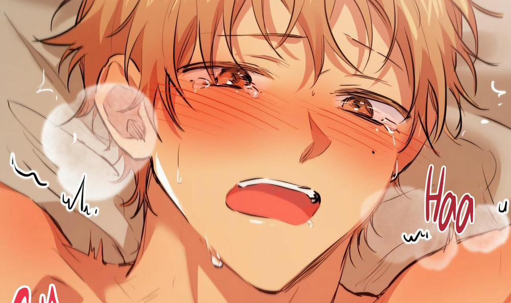 Đàn Thỏ Của Habibi 25 trang 217