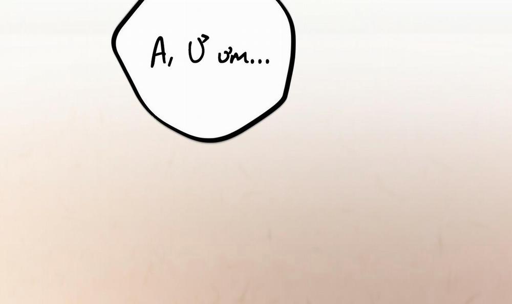 Đàn Thỏ Của Habibi 25 trang 219