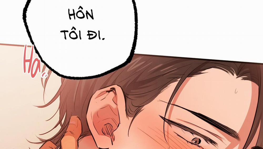 Đàn Thỏ Của Habibi 25 trang 239