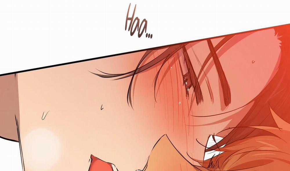 Đàn Thỏ Của Habibi 25 trang 251