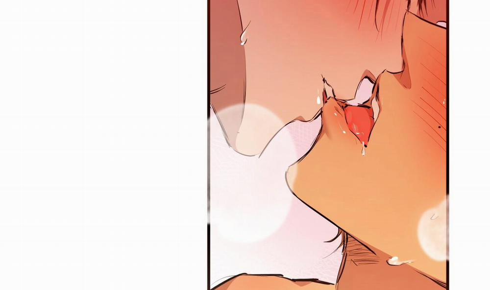 Đàn Thỏ Của Habibi 25 trang 258