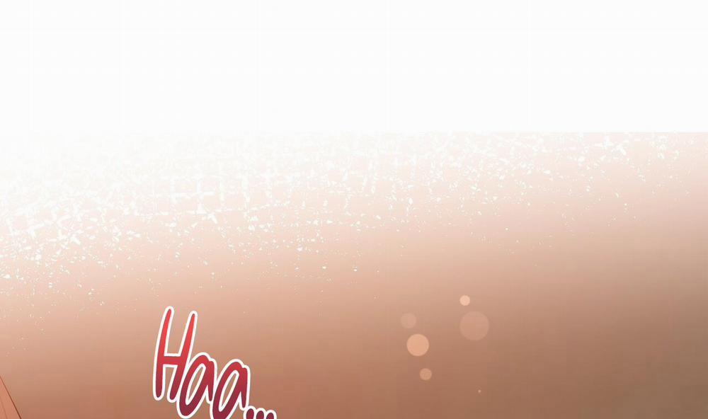 Đàn Thỏ Của Habibi 25 trang 274