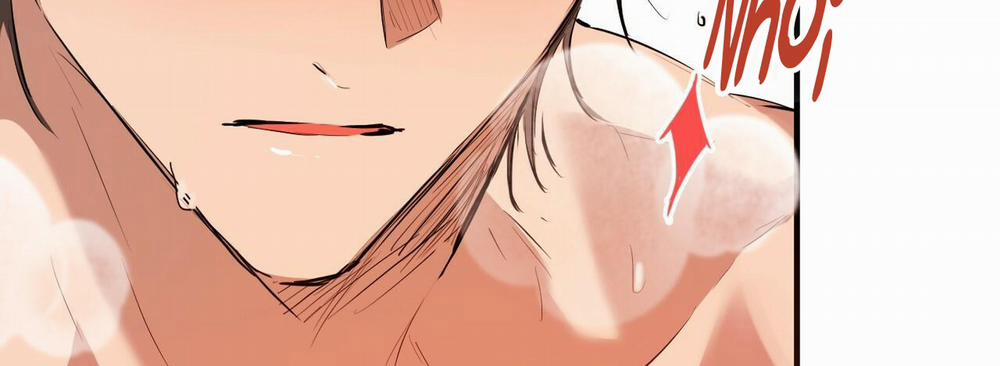 Đàn Thỏ Của Habibi 25 trang 282