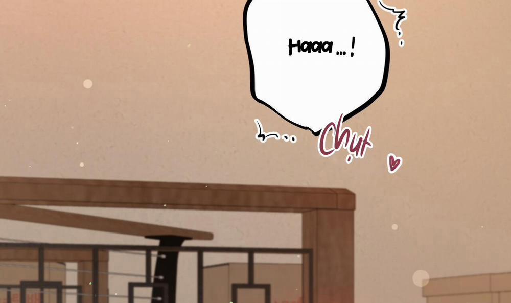 Đàn Thỏ Của Habibi 25 trang 48