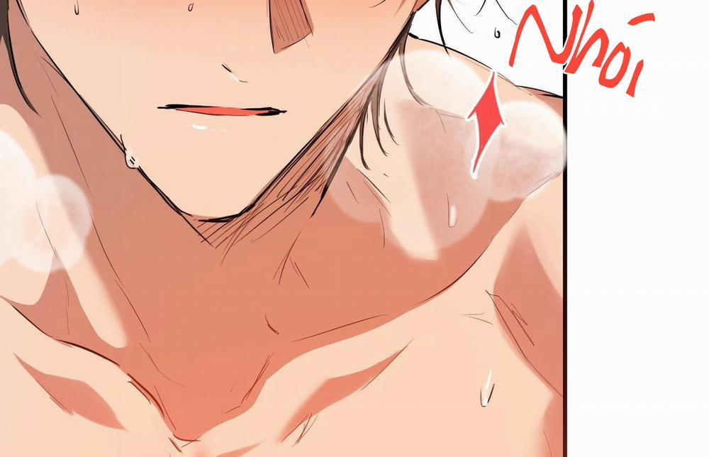 Đàn Thỏ Của Habibi 26 trang 11