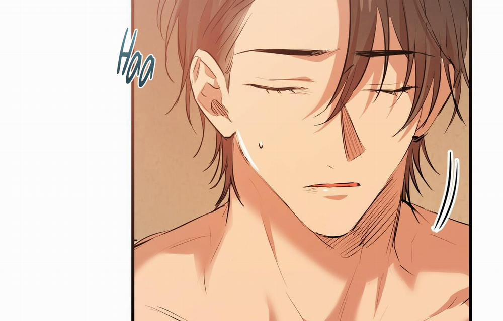 Đàn Thỏ Của Habibi 26 trang 125