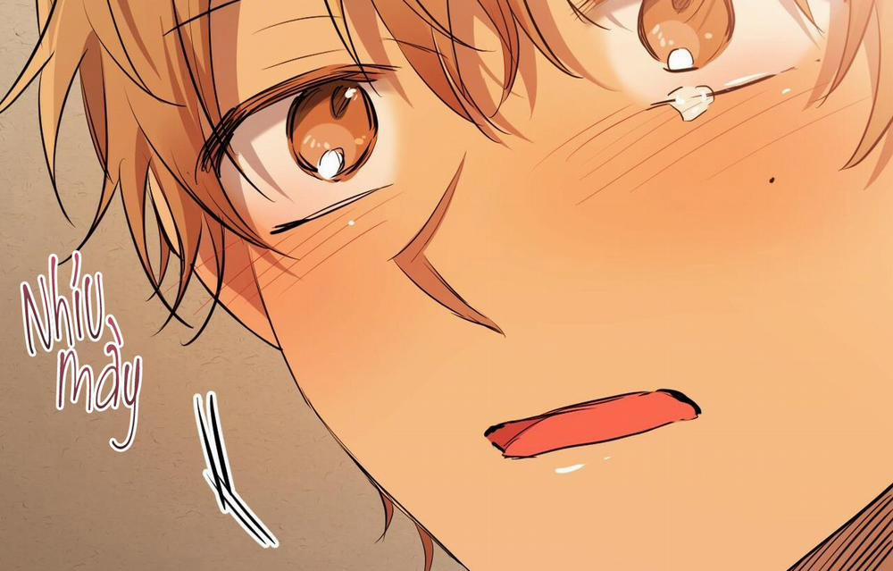 Đàn Thỏ Của Habibi 26 trang 141