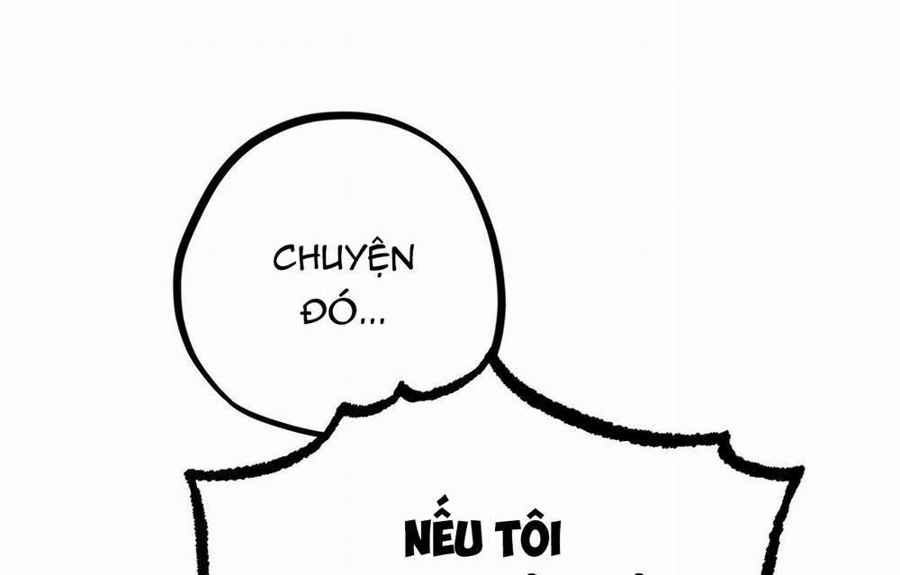 Đàn Thỏ Của Habibi 26 trang 172