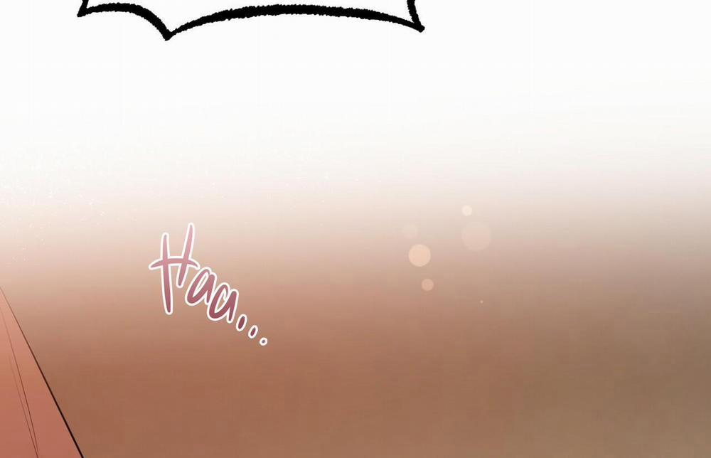 Đàn Thỏ Của Habibi 26 trang 6