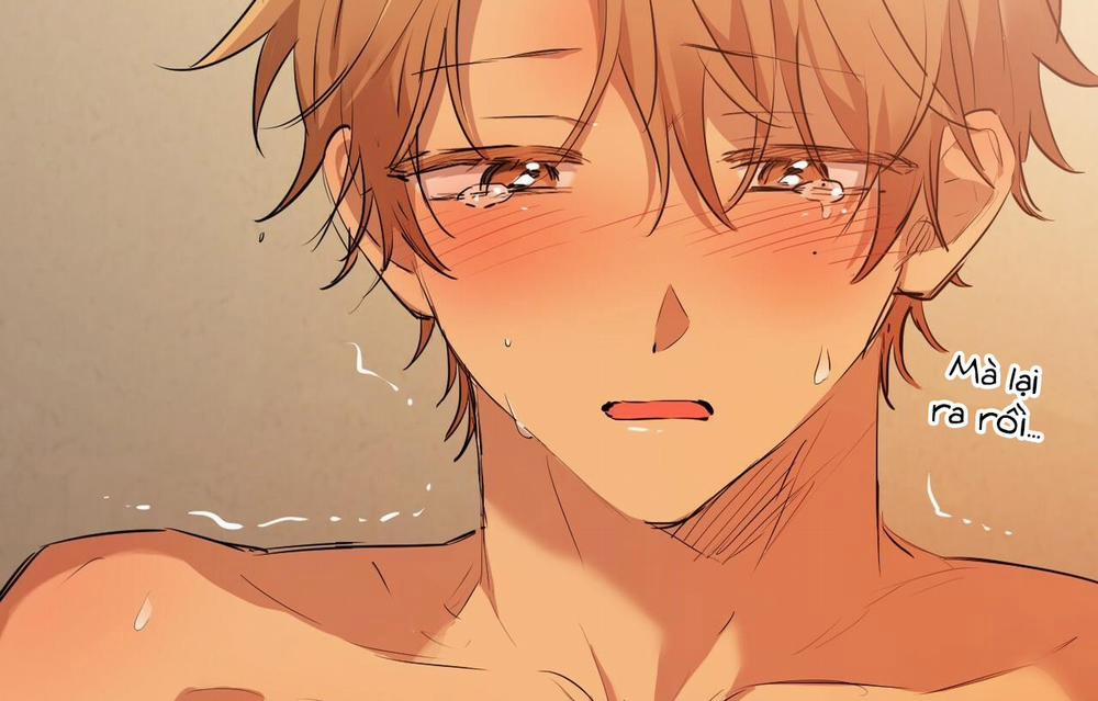 Đàn Thỏ Của Habibi 26 trang 61