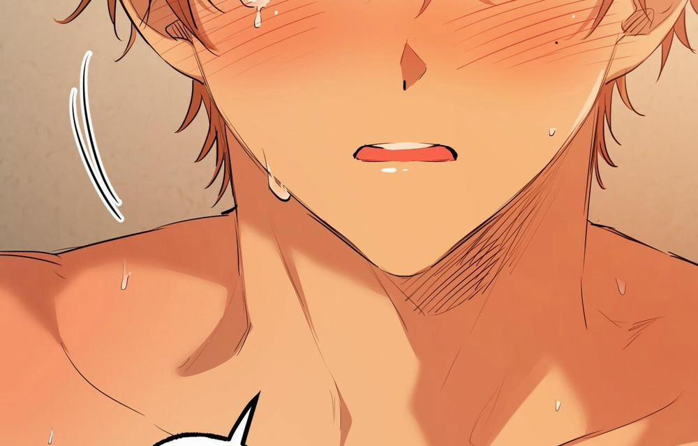 Đàn Thỏ Của Habibi 26 trang 64