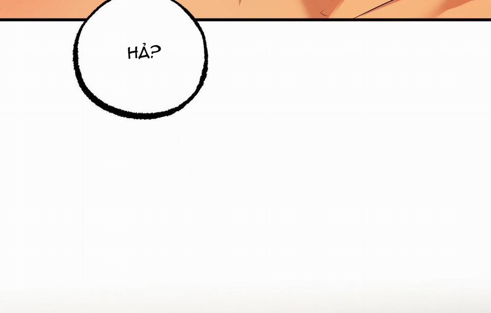 Đàn Thỏ Của Habibi 26 trang 65