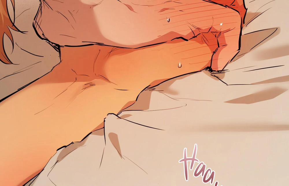 Đàn Thỏ Của Habibi 26 trang 8