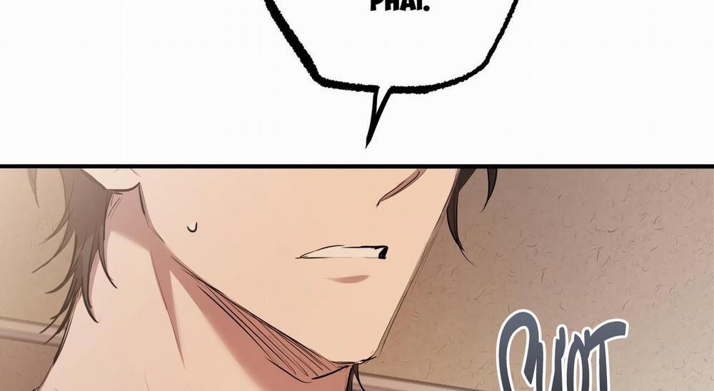 Đàn Thỏ Của Habibi 27 trang 10