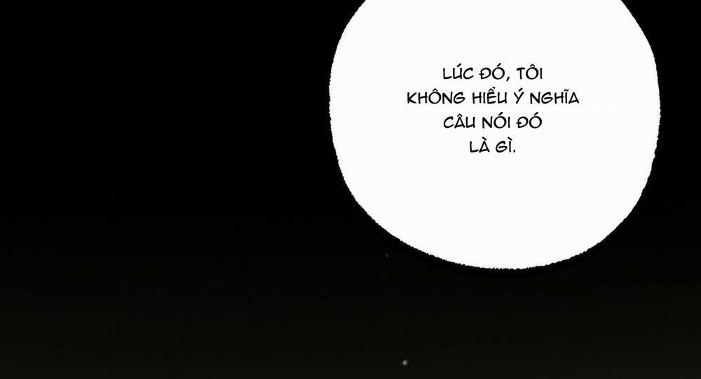 Đàn Thỏ Của Habibi 27 trang 119