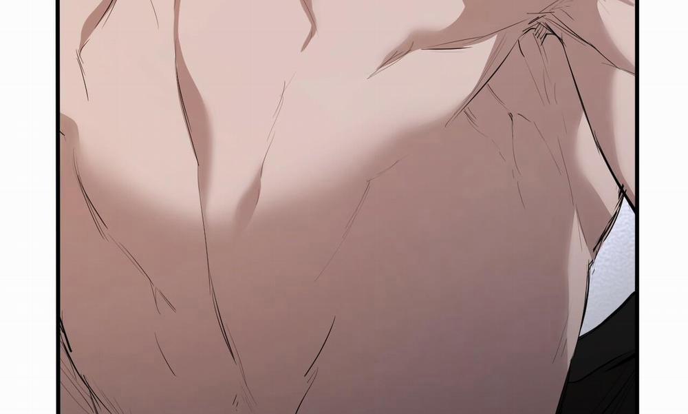 Đàn Thỏ Của Habibi 27 trang 232