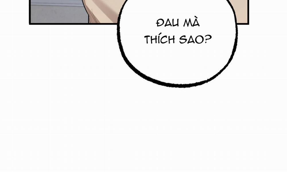 Đàn Thỏ Của Habibi 27 trang 245