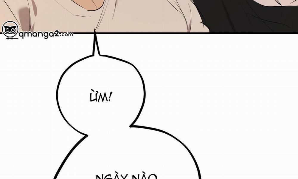 Đàn Thỏ Của Habibi 27 trang 261