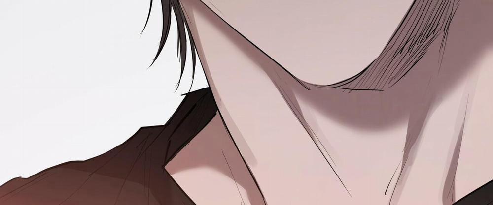 Đàn Thỏ Của Habibi 27 trang 287