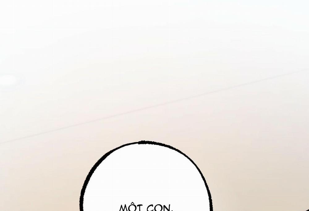 Đàn Thỏ Của Habibi 28 trang 102