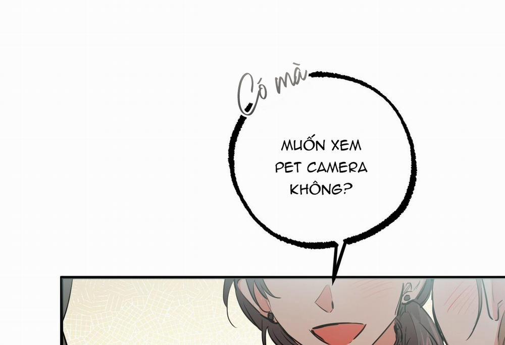 Đàn Thỏ Của Habibi 28 trang 111