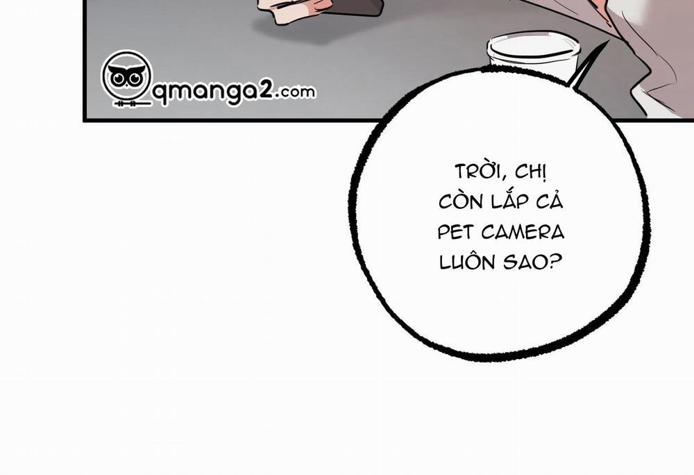 Đàn Thỏ Của Habibi 28 trang 113