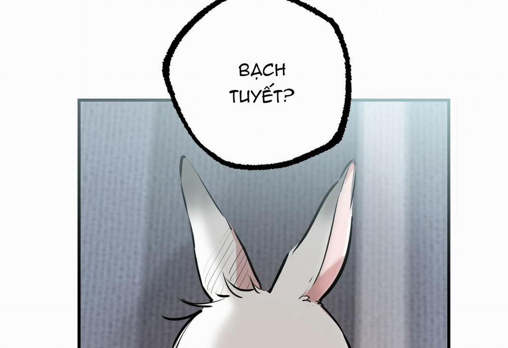 Đàn Thỏ Của Habibi 28 trang 18