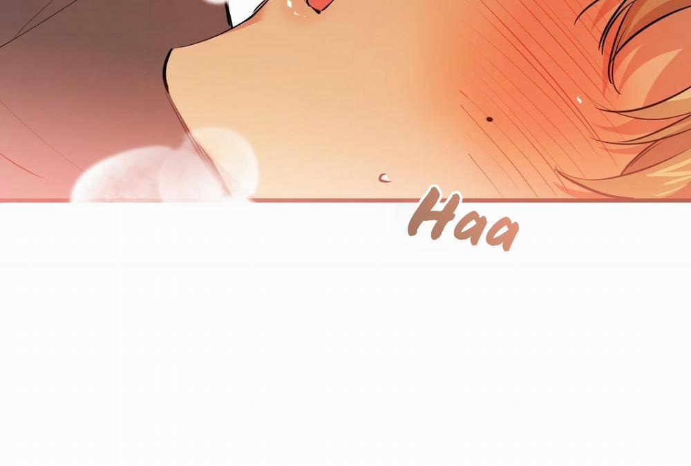 Đàn Thỏ Của Habibi 28 trang 185