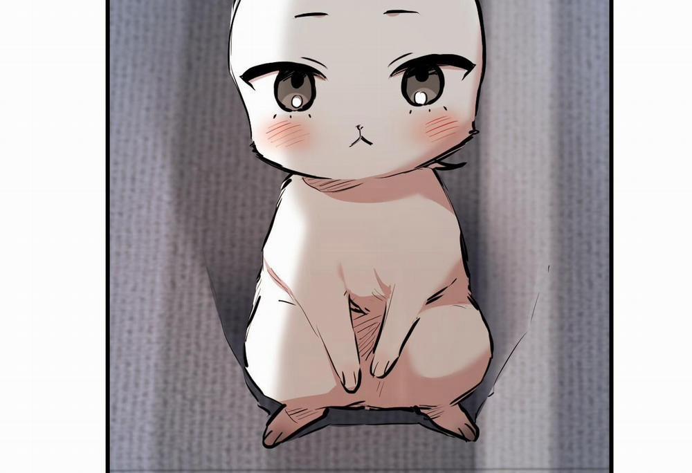 Đàn Thỏ Của Habibi 28 trang 19