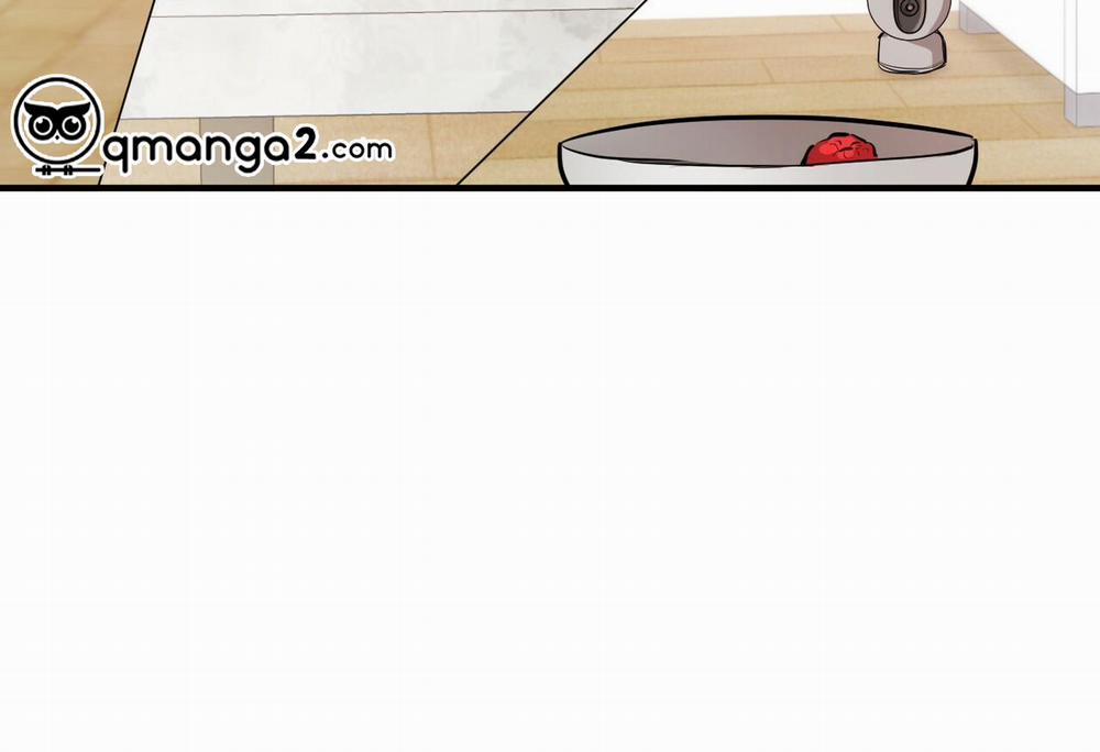 Đàn Thỏ Của Habibi 28 trang 206