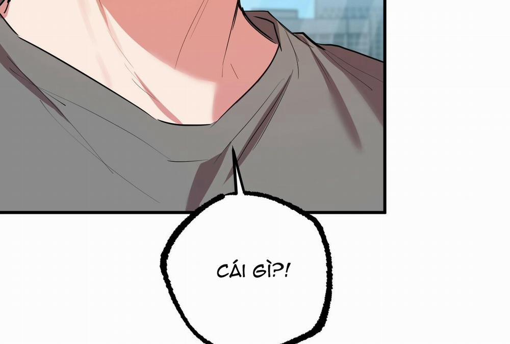 Đàn Thỏ Của Habibi 28 trang 210