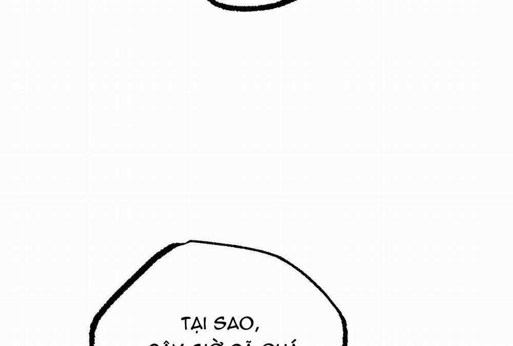 Đàn Thỏ Của Habibi 28 trang 211